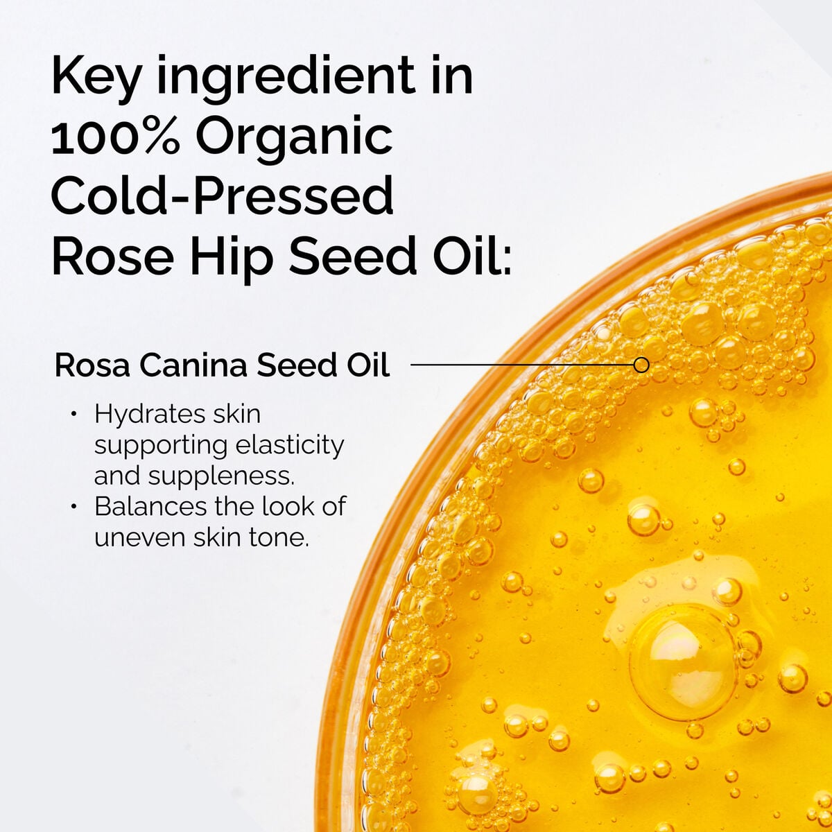 100-organic-cold-pressed-rose-hip-seed-oil-n9 FY25-D41247-ORD-Web-PDP-100-Rose-Hip-Oil-1x1-EN-2.jpg