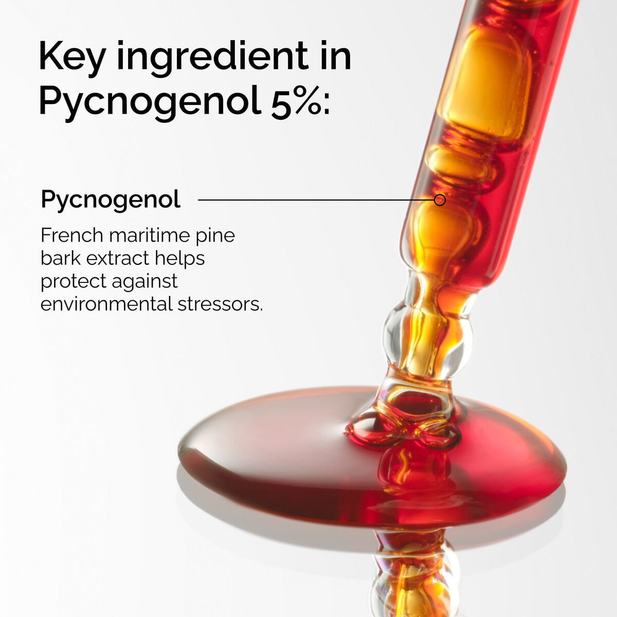 pycnogenol-5-z9 FY25-D41247-ORD-Web-PDP-Pyc-5pct-1x1-EN-2a.jpg