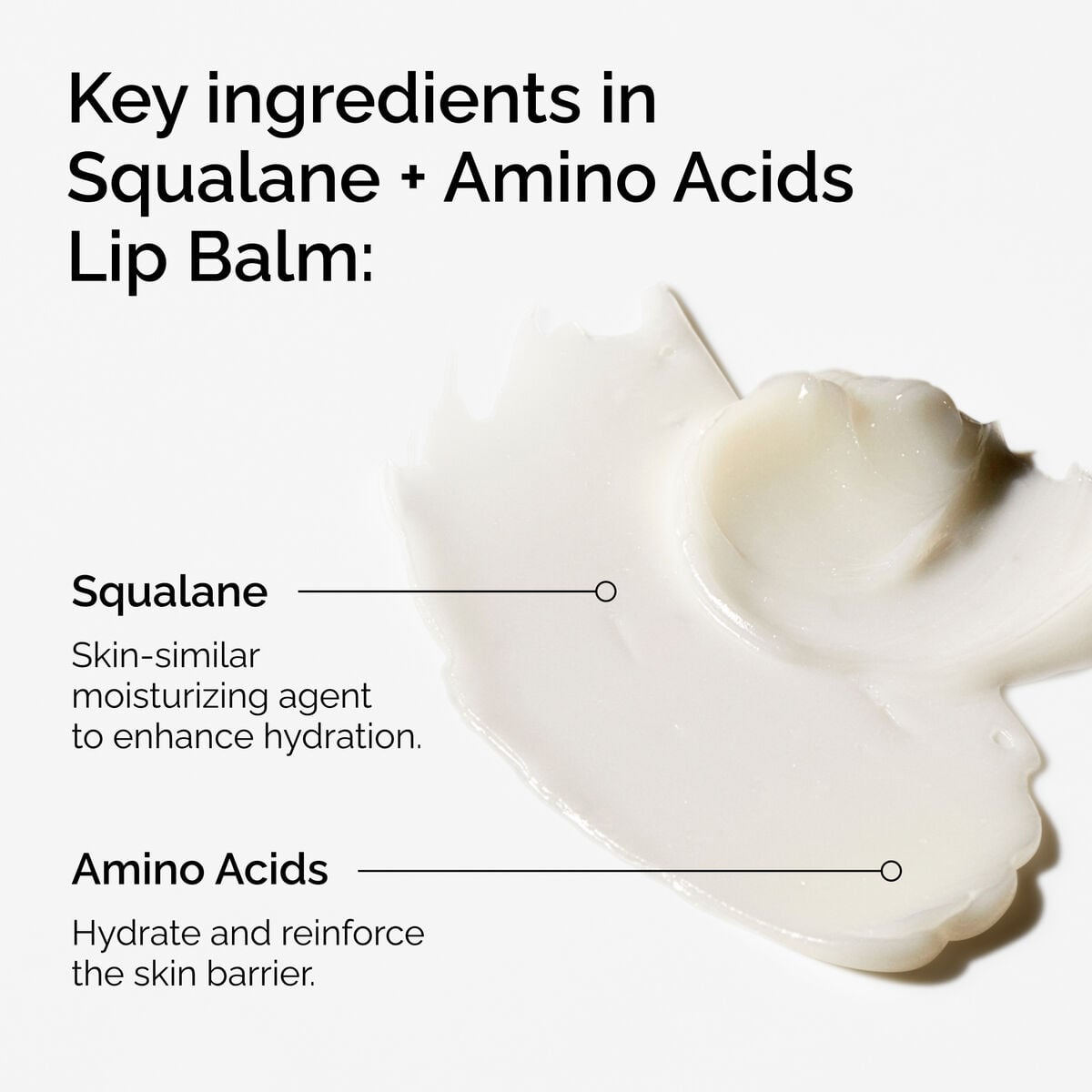 squalane-amino-acids-lip-balm-n9 FY25-D41247-ORD-Web-PDP-Sql-Amino-Lip-1x1-EN-2a.jpg