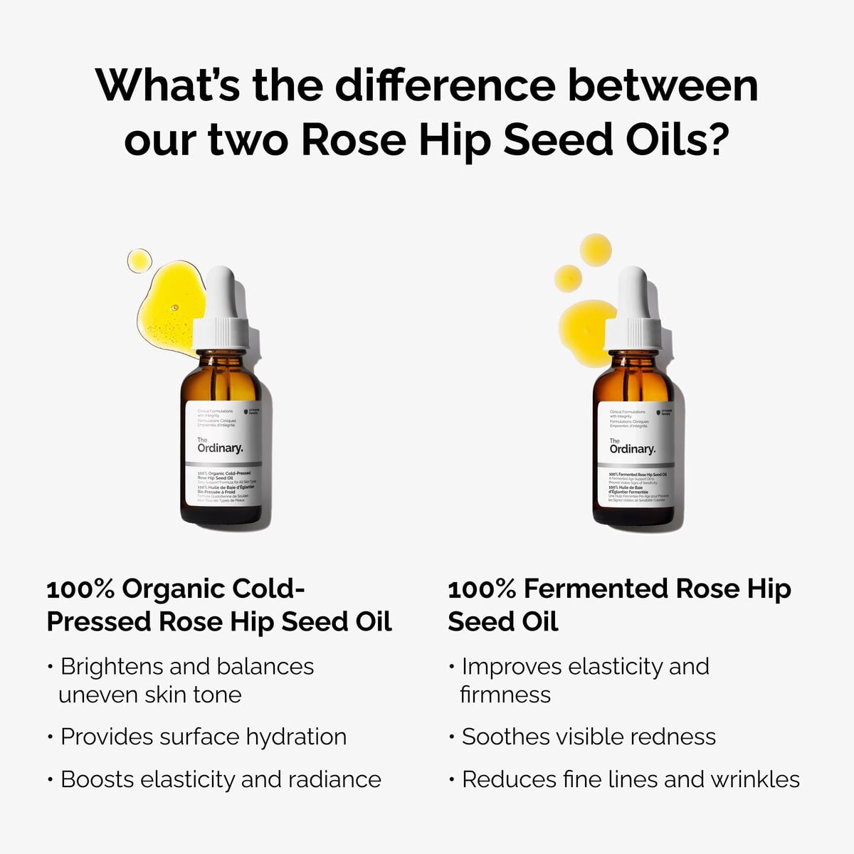 100-fermented-rose-hip-seed-oil-i8 fermented-rose-hip-vs-organic-rose-hip-graphic.jpg
