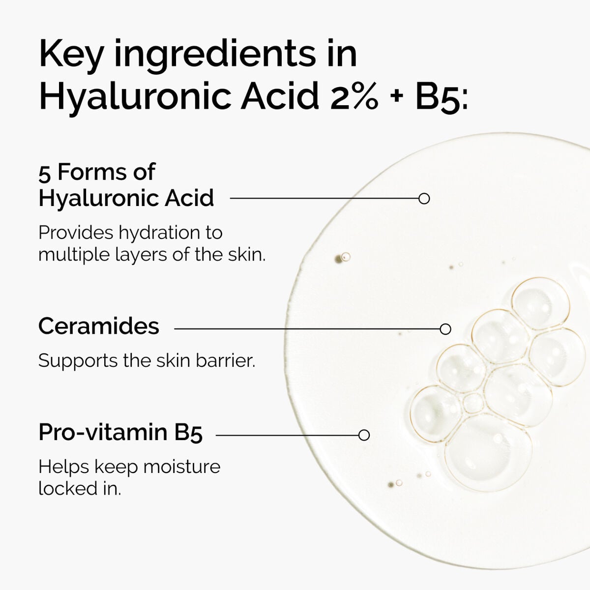 hyaluronic-acid-2-b5-with-ceramides-z8 ord-hyaluronic-acid-2pct-b5-hydrating-serum-ingredients-graphic.jpg