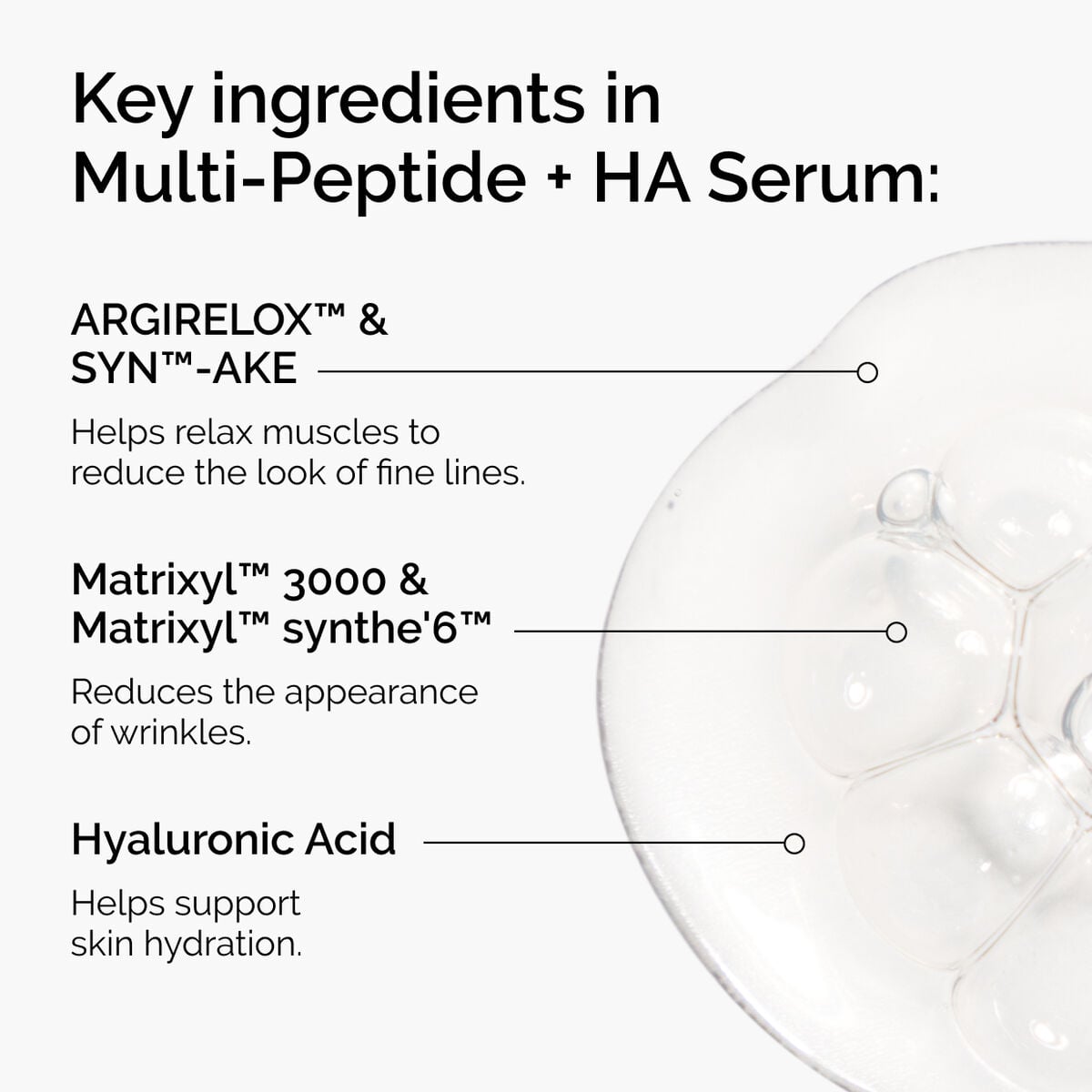 the-age-support-set-a4 ord-multi-peptide-ha-ingredients-graphic.jpg