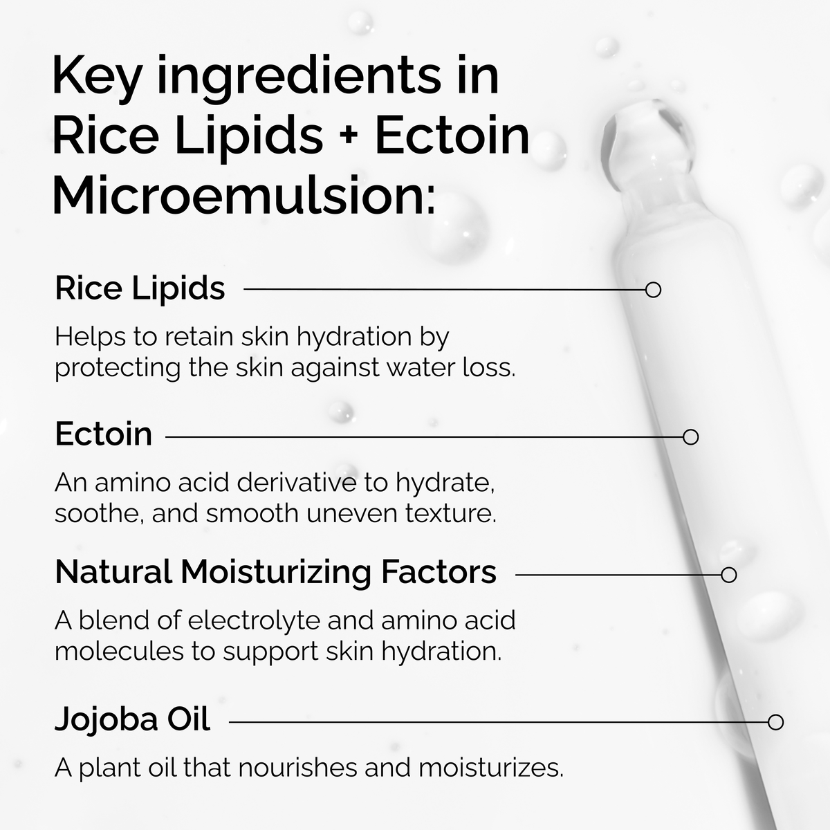 rice-lipids-ectoin-microemulsion-w5 ord-rice-lipids-ectoin-microemulsion-key-ingredients.png
