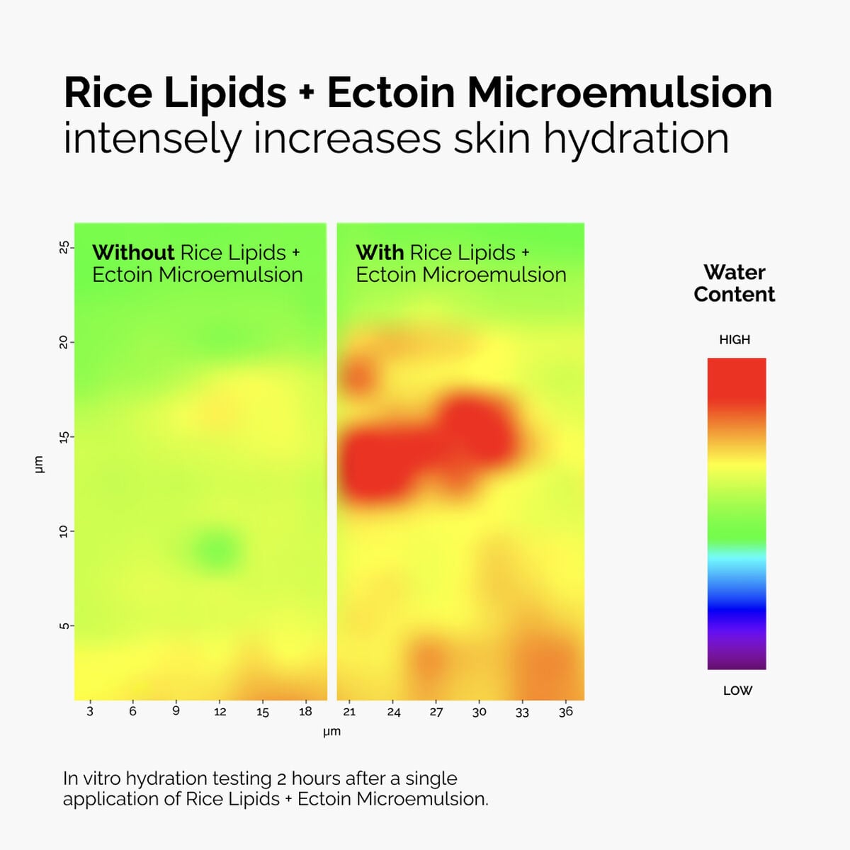 rice-lipids-ectoin-microemulsion-w5 ord-rice-lipids-ectoin-microemulsion-thermal-before-after.jpg
